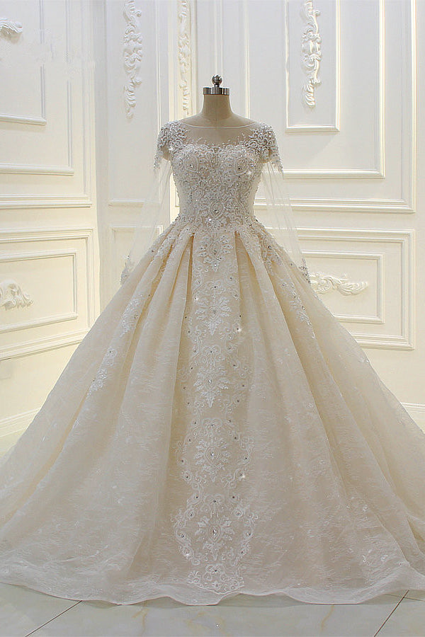 Long Sleeves Ball Gown Wedding Dress with Beading & Lace Appliques-Wedding Dresses-BallBride